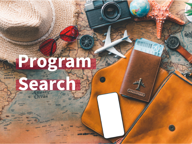 Program Search